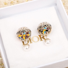 Christian Dior Earrings